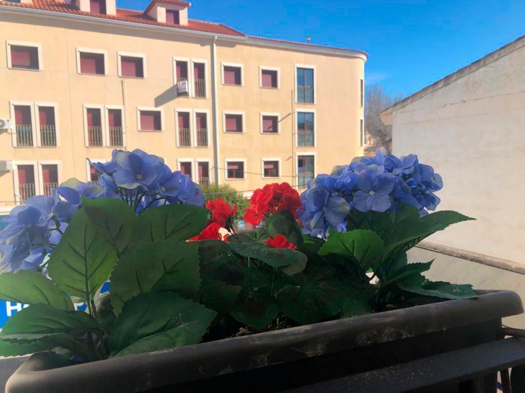 Home Sancle San Clemente  Esterno foto